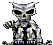 s_pider1.gif