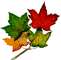 mapleleaf.gif