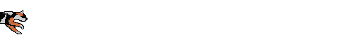 runningcalico.gif